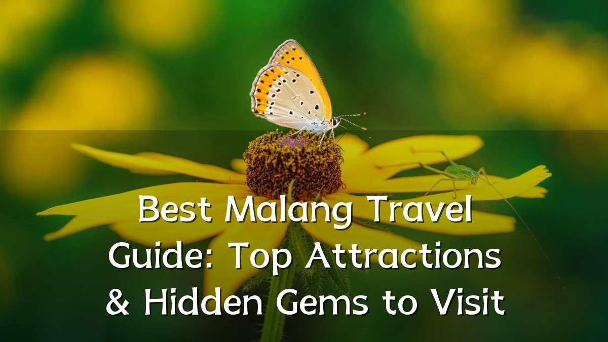 Best Malang Travel Guide: Top Attractions & Hidden Gems to Visit
