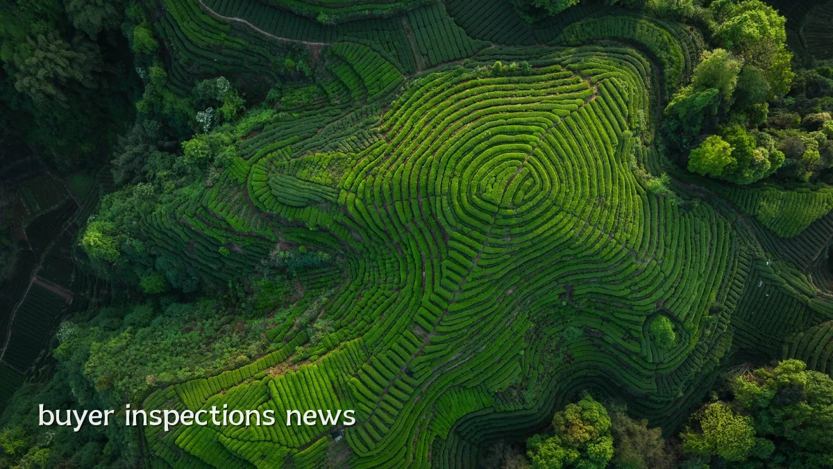 buyer inspections news
