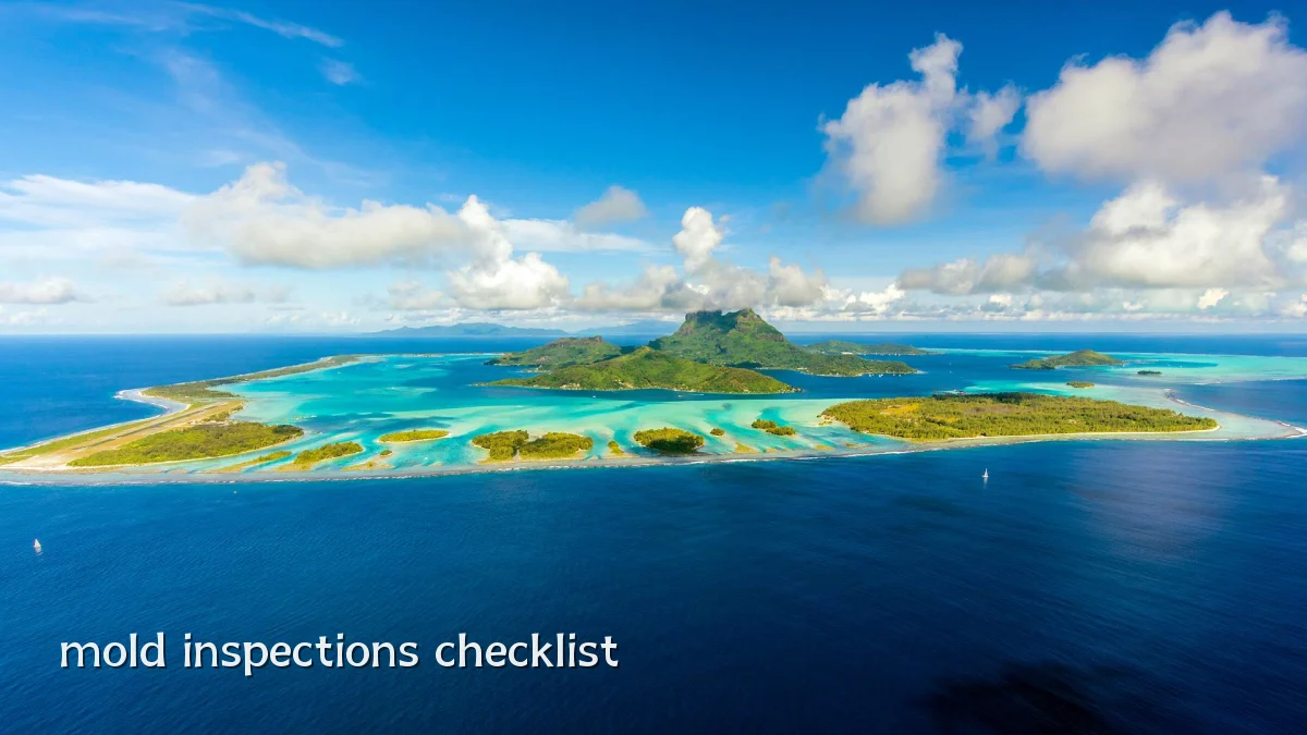 mold inspections checklist
