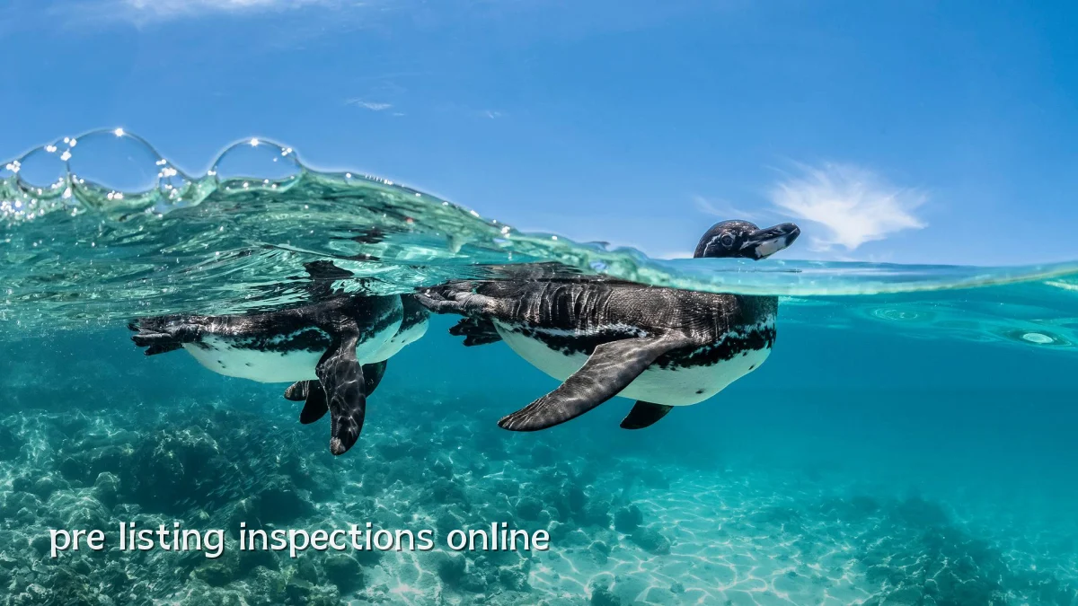 pre listing inspections online