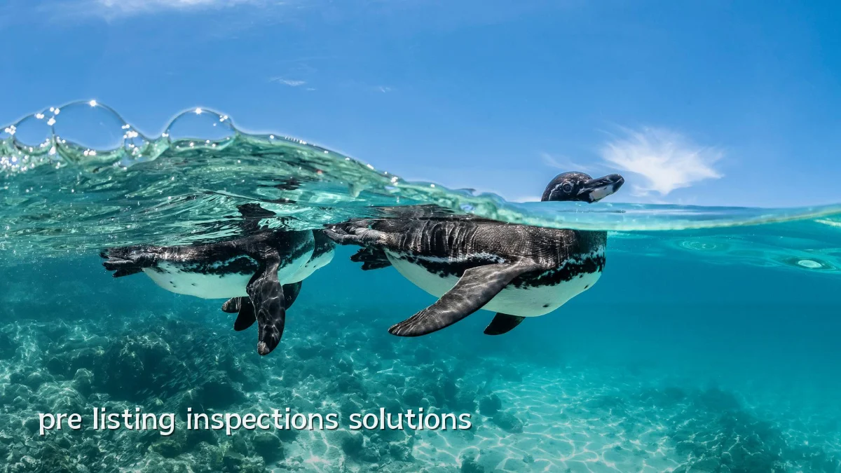 pre listing inspections solutions