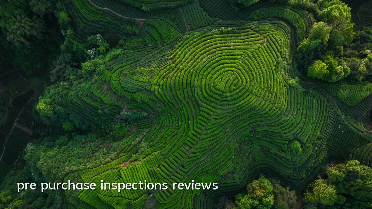 pre purchase inspections reviews