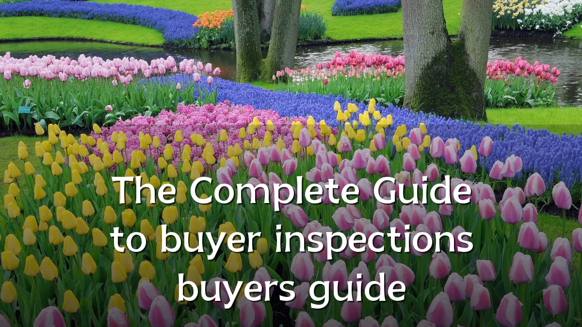 The Complete Guide to buyer inspections buyers guide