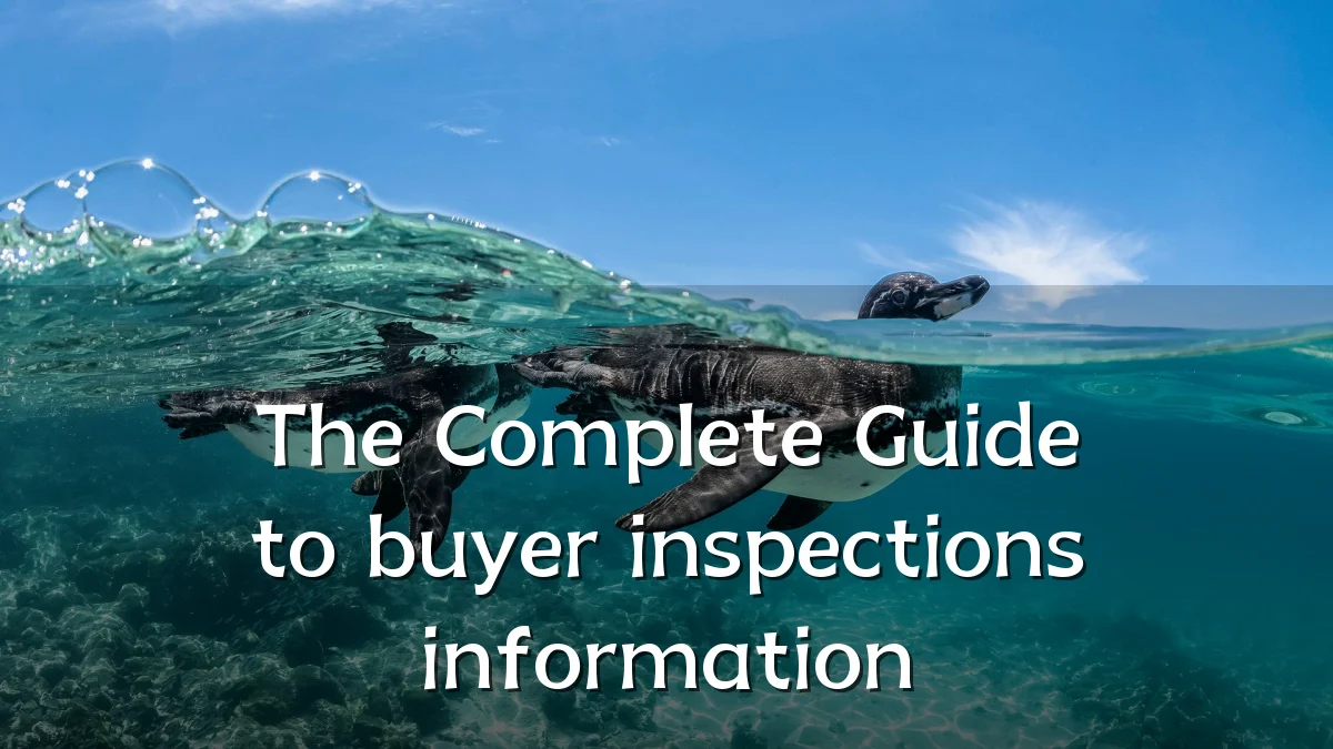 The Complete Guide to buyer inspections information
