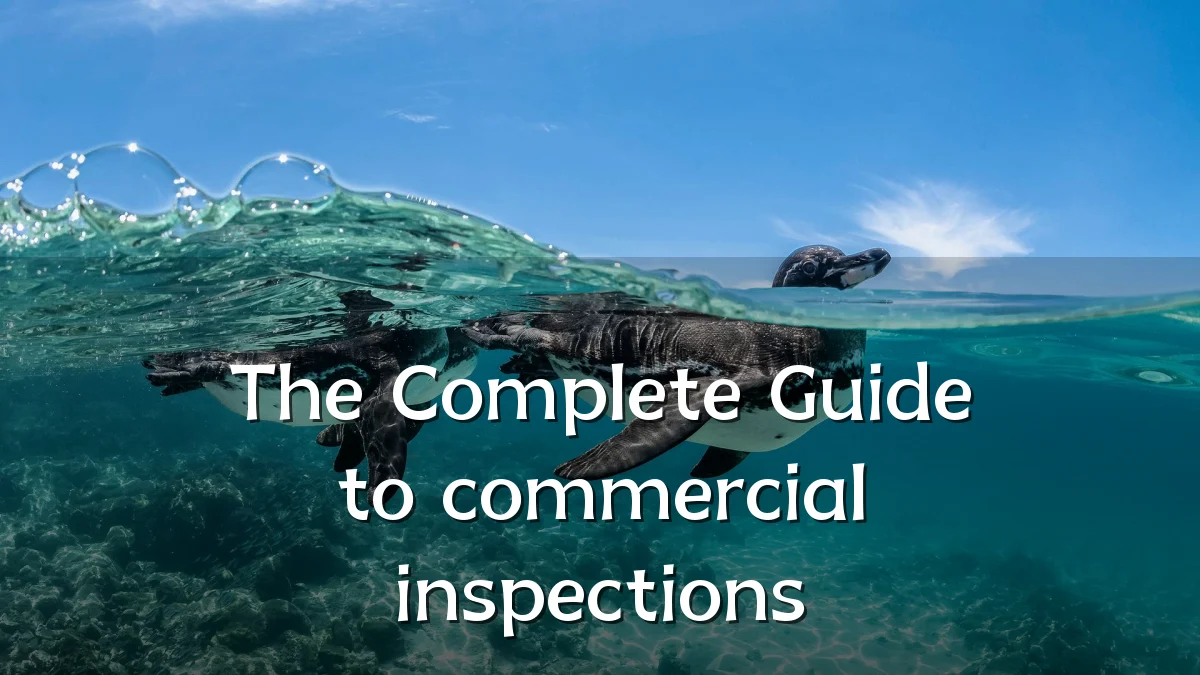 The Complete Guide to commercial inspections