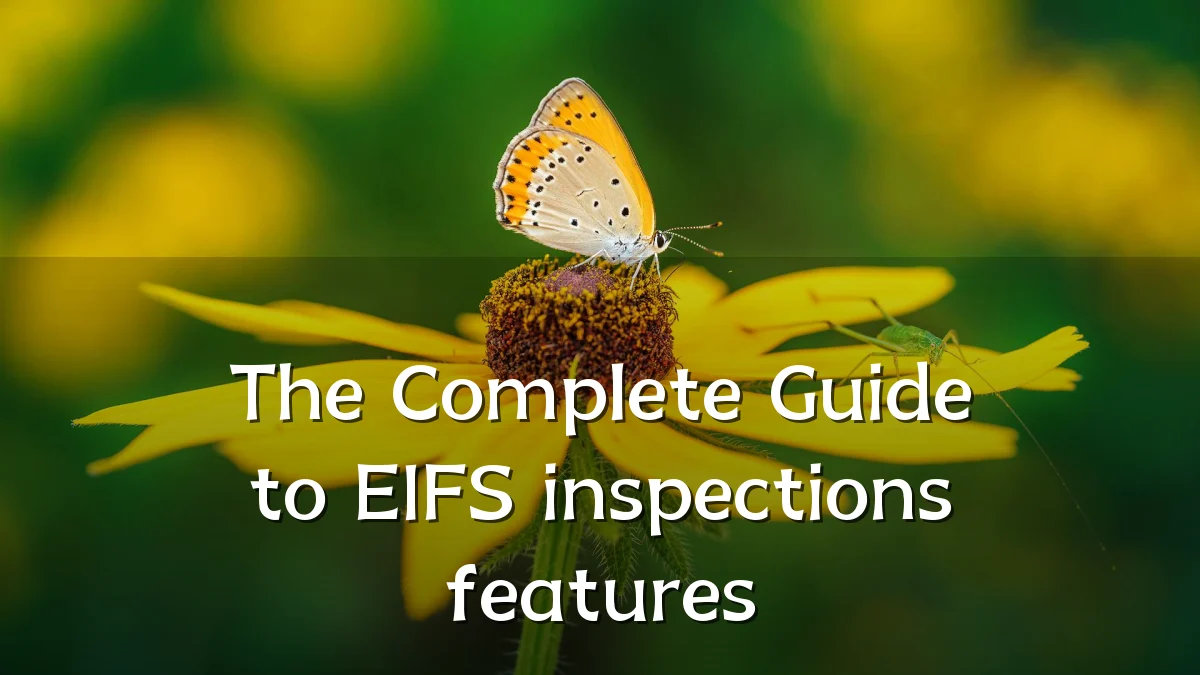 The Complete Guide to EIFS inspections features