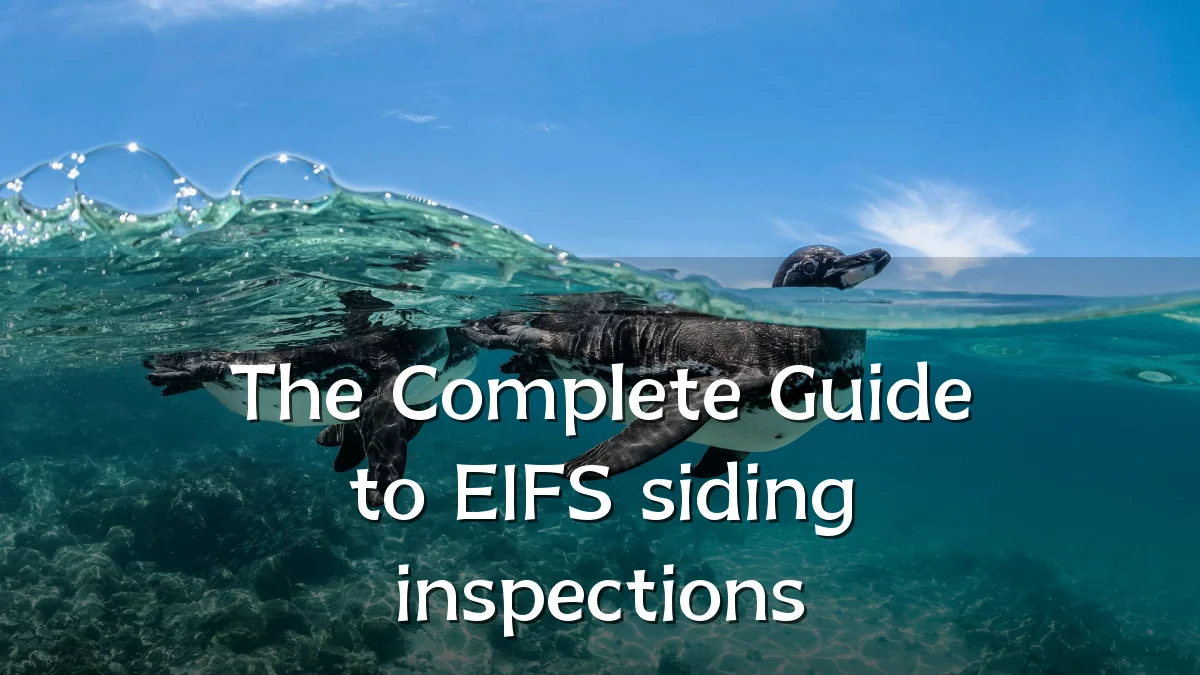 The Complete Guide to EIFS siding inspections
