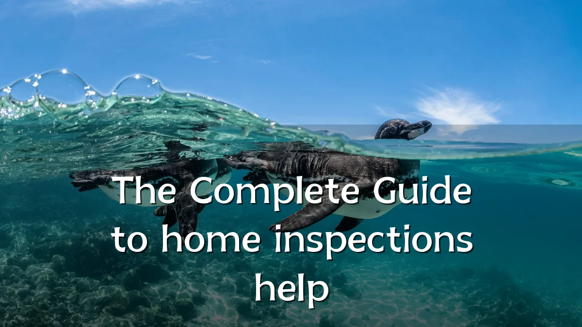 The Complete Guide to home inspections help
