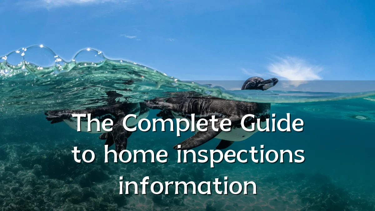 The Complete Guide to home inspections information