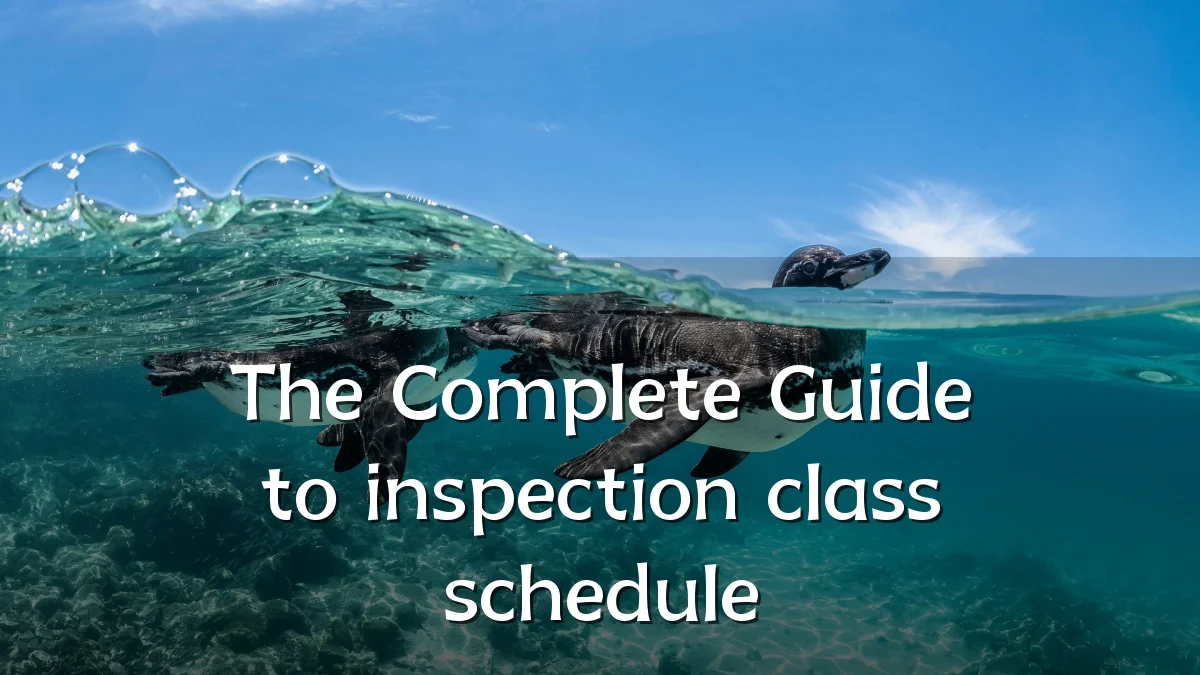 The Complete Guide to inspection class schedule