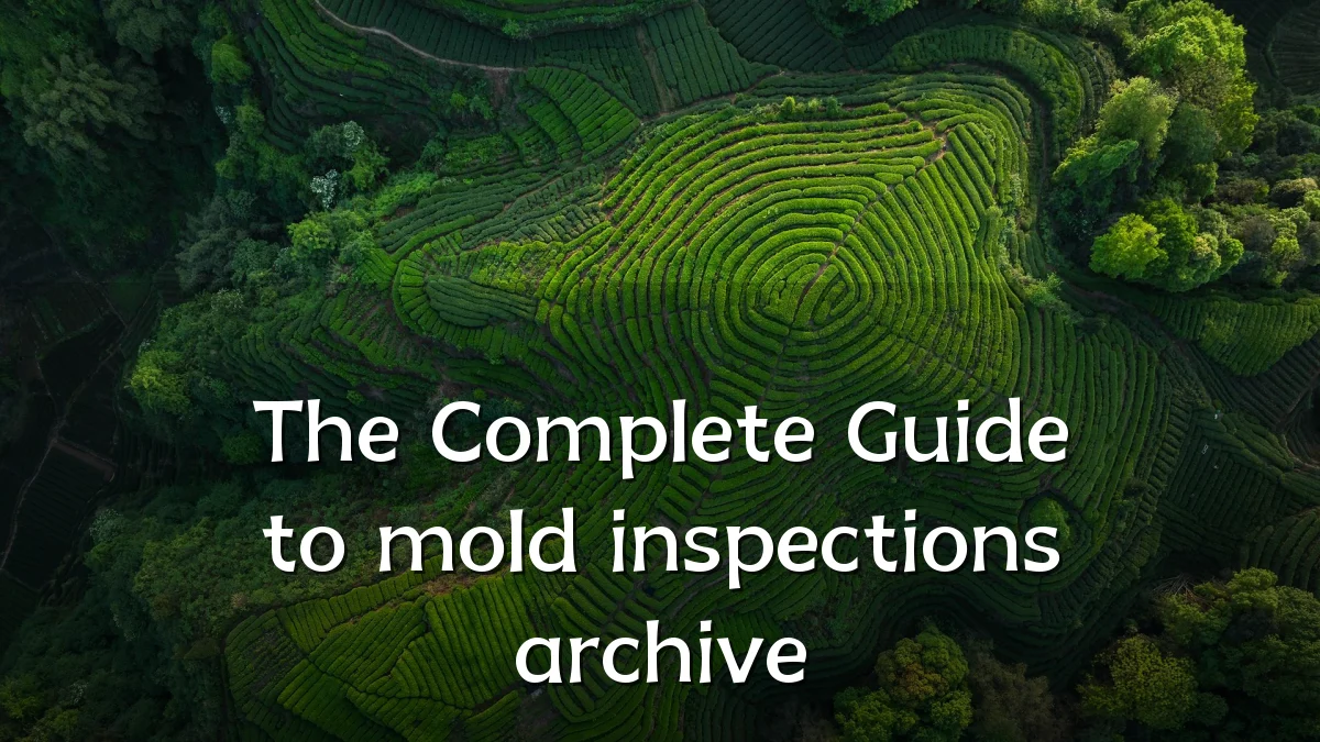 The Complete Guide to mold inspections archive