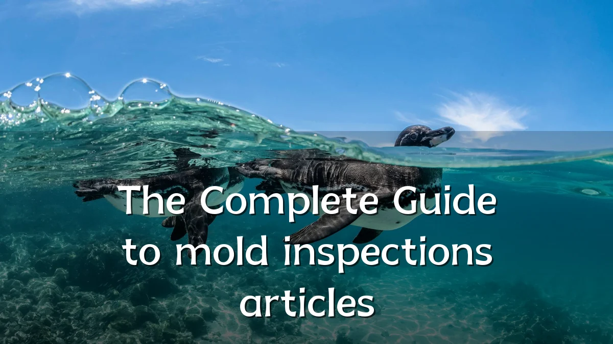 The Complete Guide to mold inspections articles