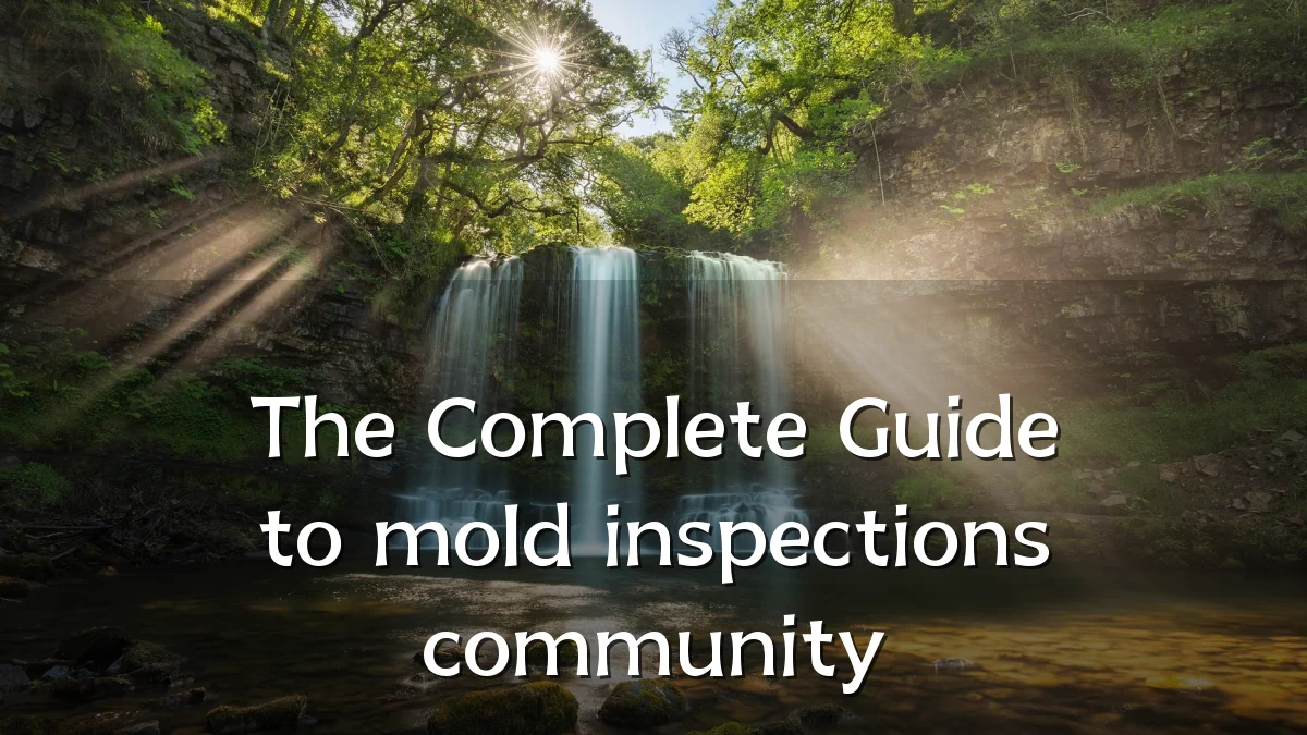 The Complete Guide to mold inspections community
