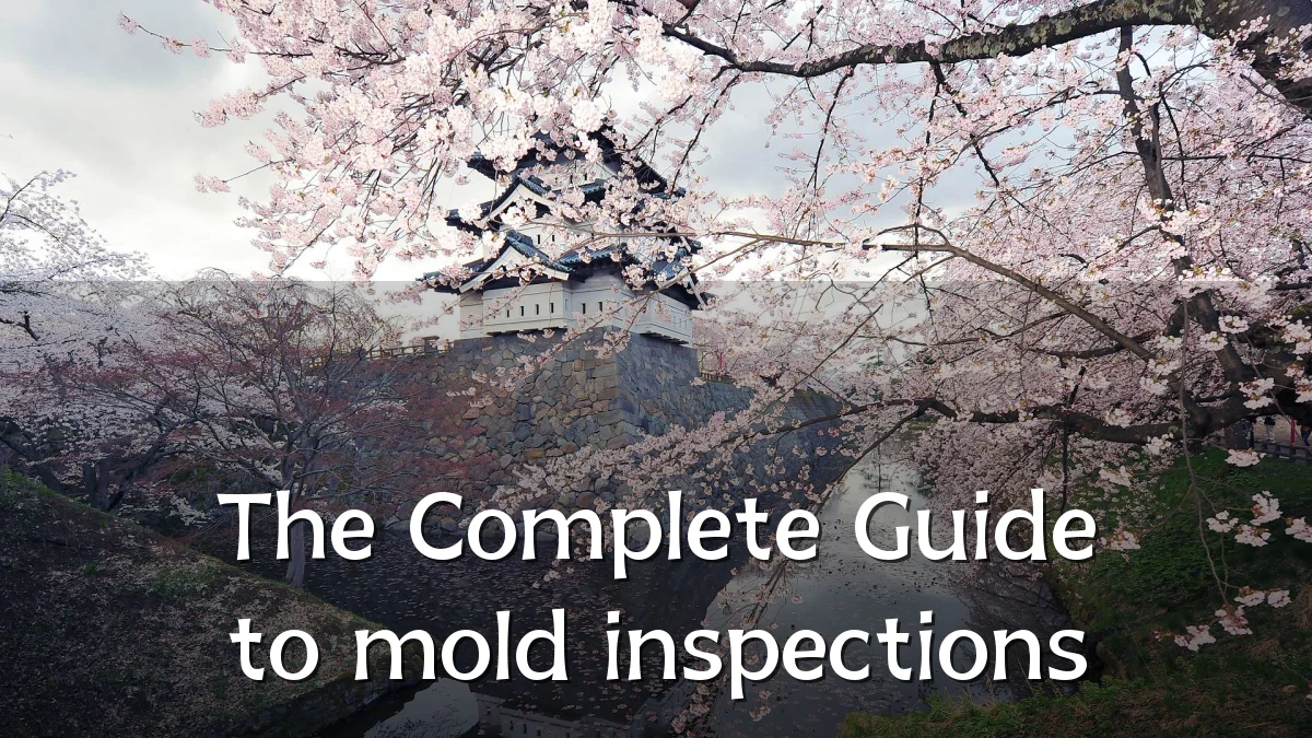 The Complete Guide to mold inspections