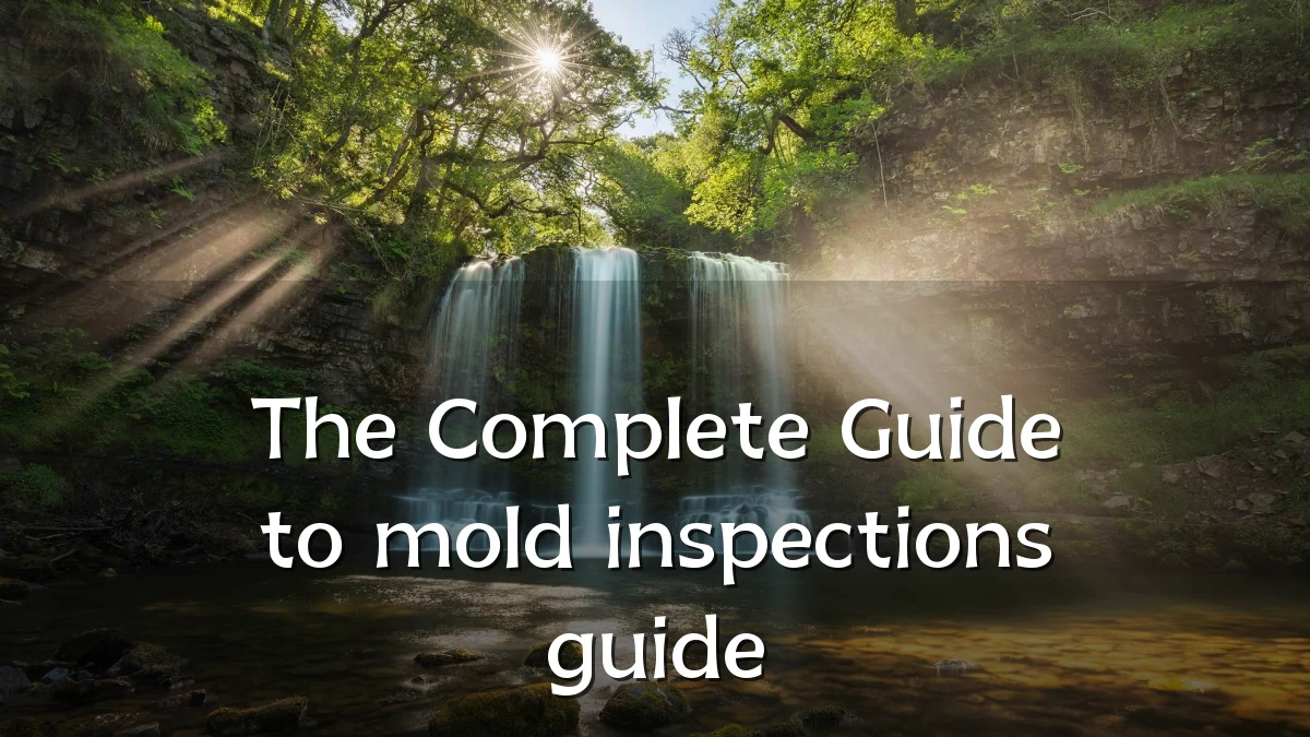 The Complete Guide to mold inspections guide