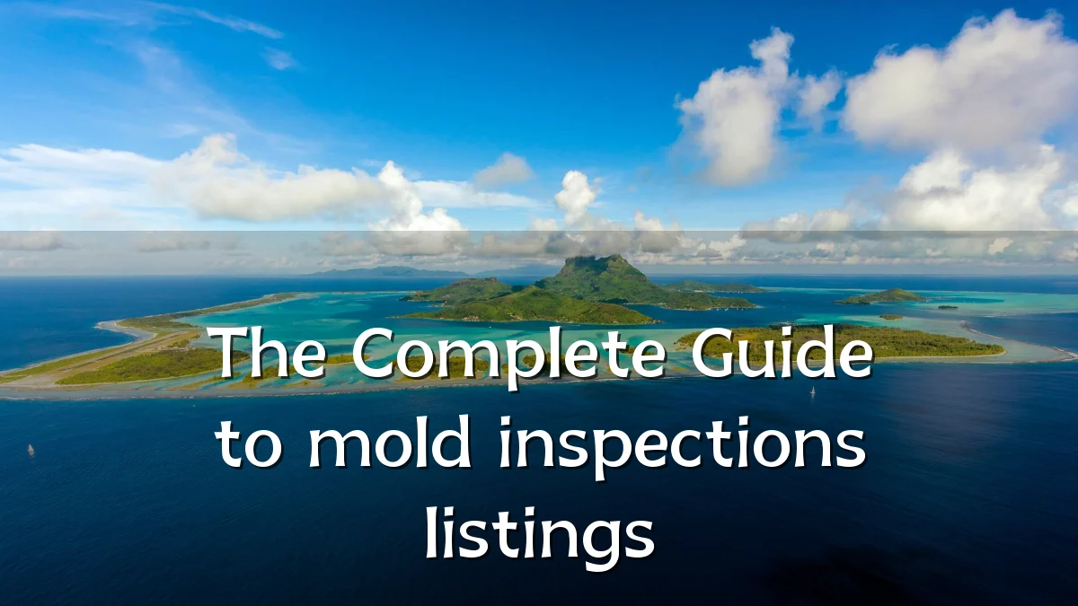 The Complete Guide to mold inspections listings