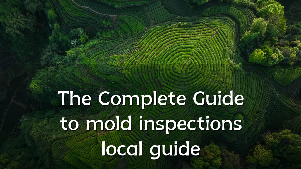 The Complete Guide to mold inspections local guide