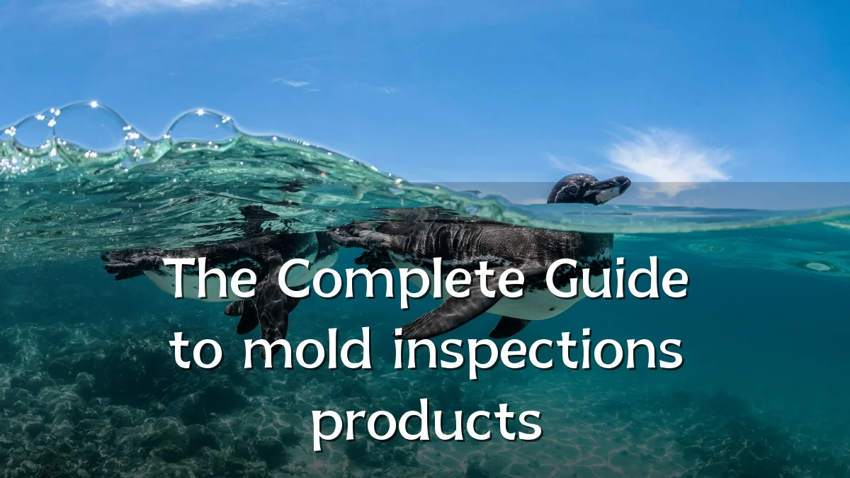 The Complete Guide to mold inspections products
