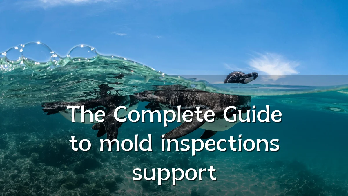 The Complete Guide to mold inspections support