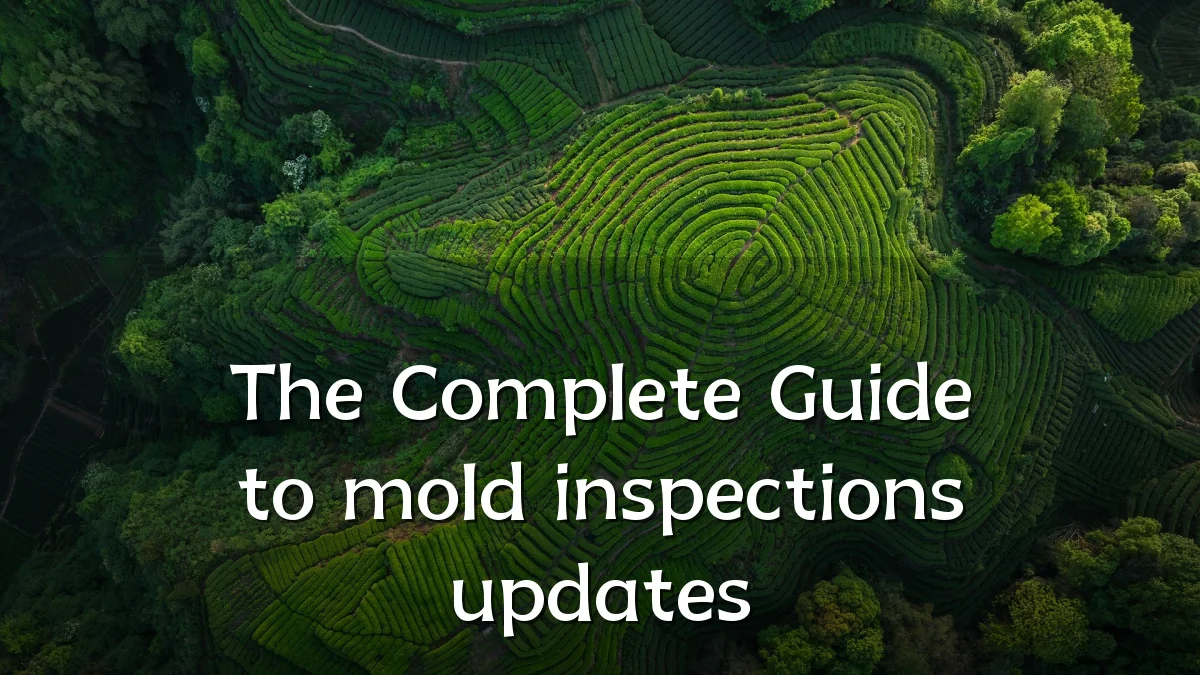 The Complete Guide to mold inspections updates