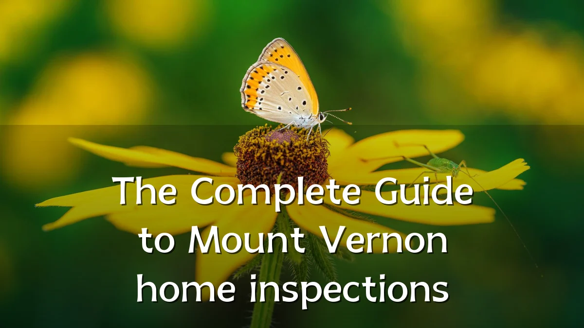 The Complete Guide to Mount Vernon home inspections