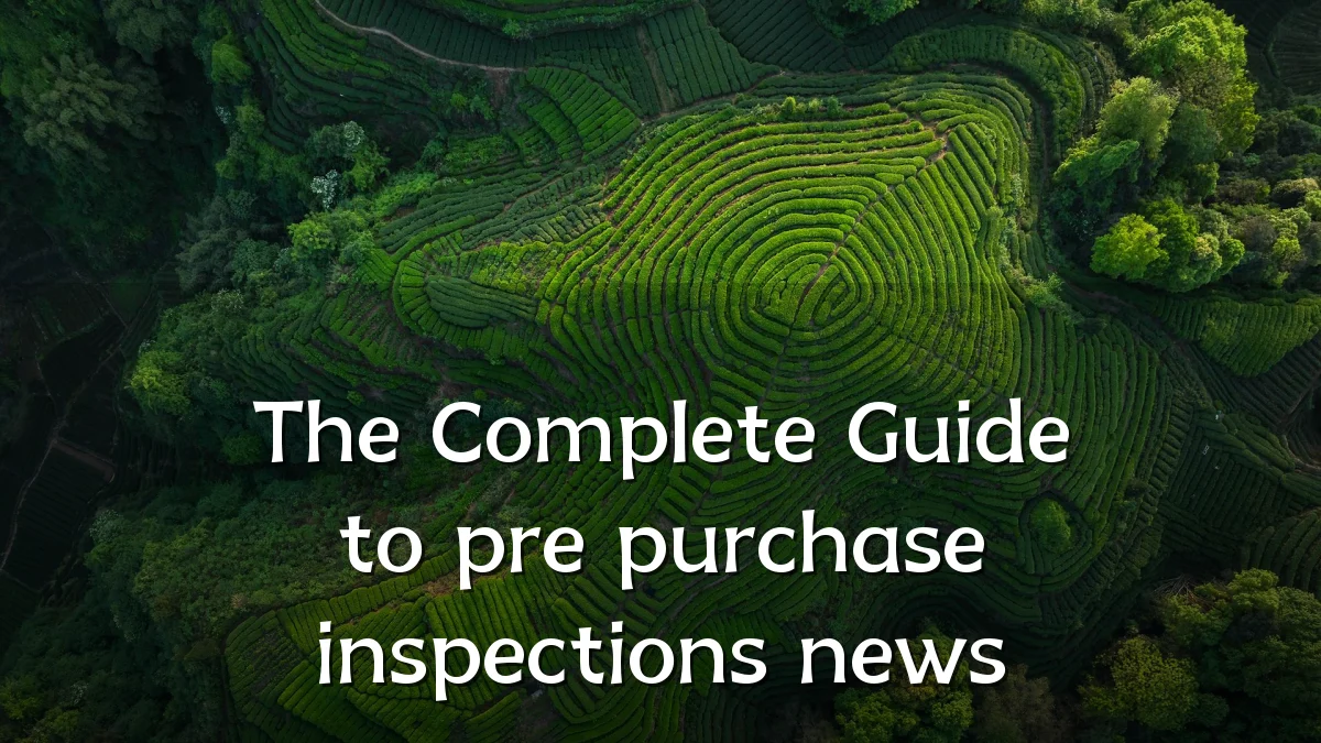 The Complete Guide to pre purchase inspections news