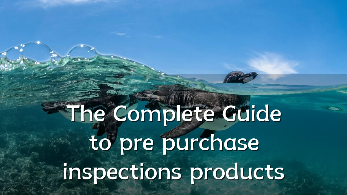 The Complete Guide to pre purchase inspections products