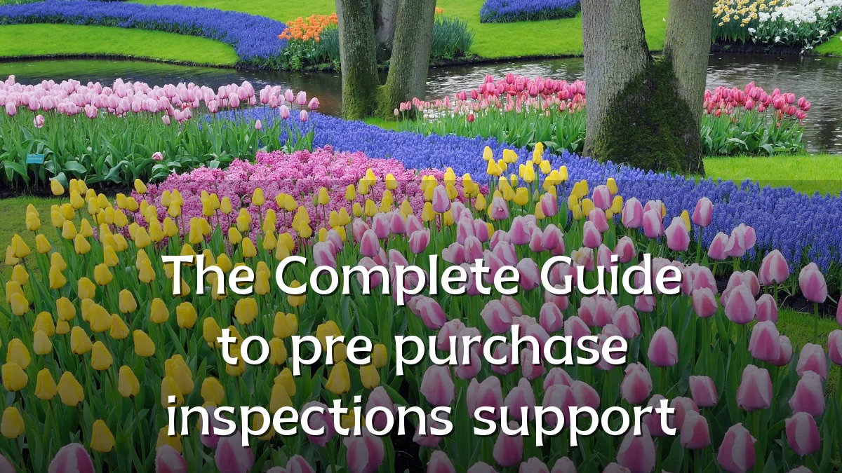 The Complete Guide to pre purchase inspections support