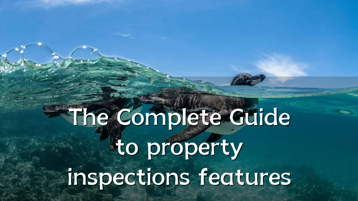 The Complete Guide to property inspections features