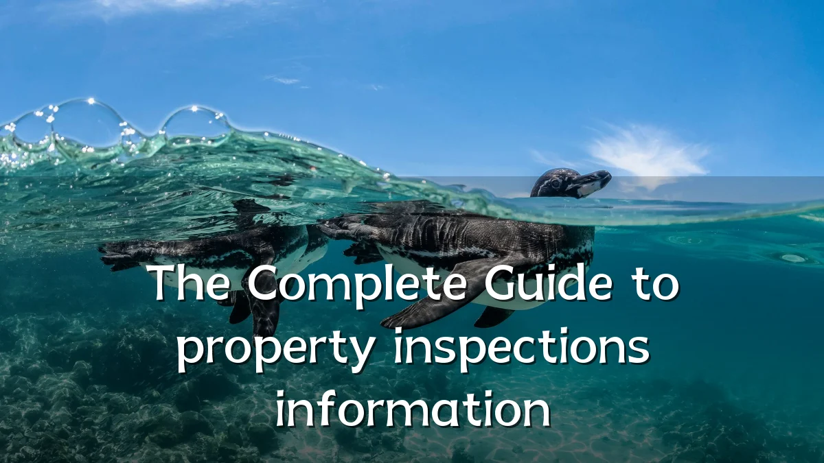 The Complete Guide to property inspections information