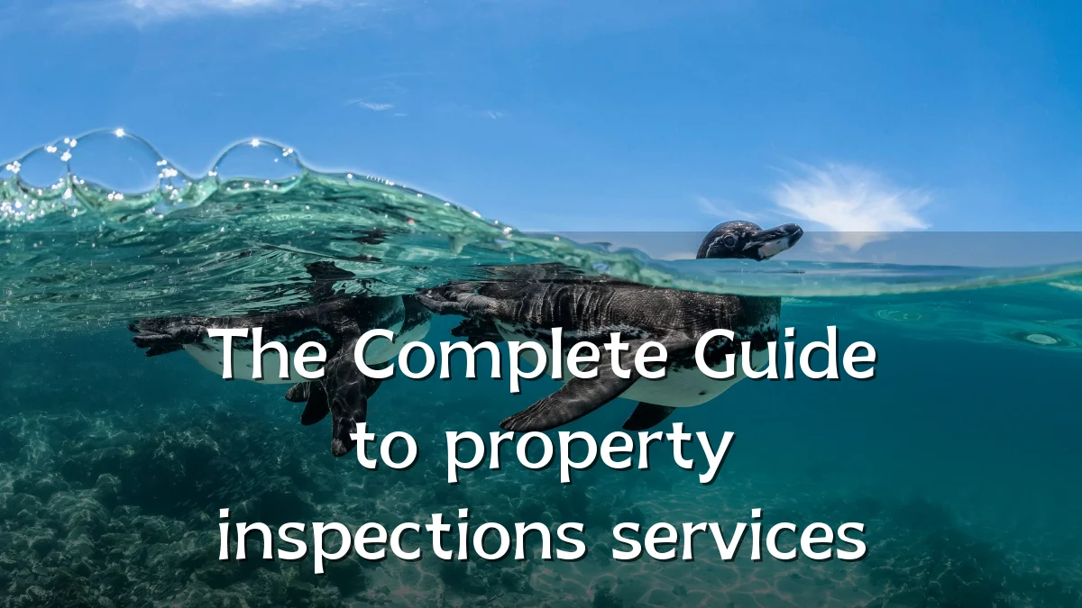 The Complete Guide to property inspections services