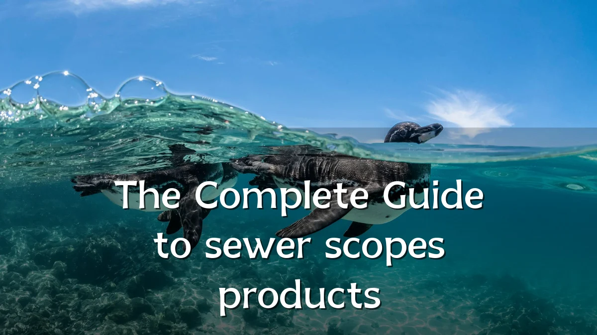 The Complete Guide to sewer scopes products