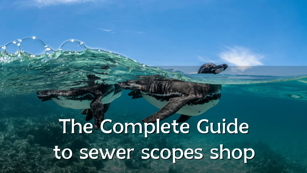 The Complete Guide to sewer scopes shop