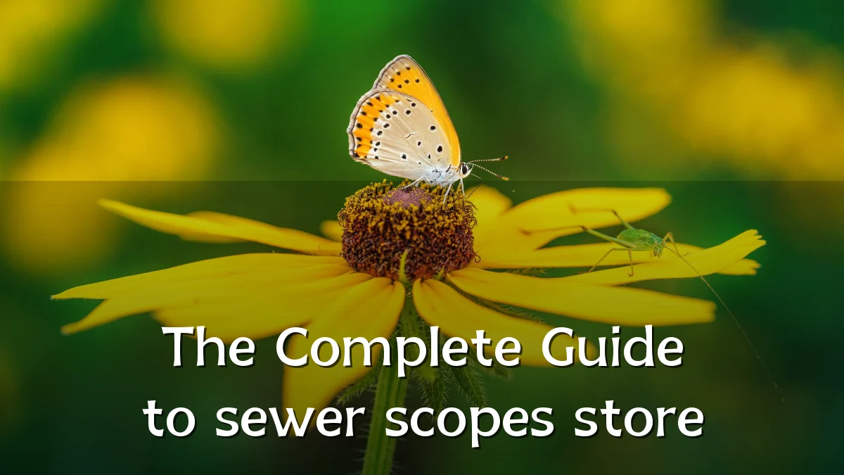 The Complete Guide to sewer scopes store