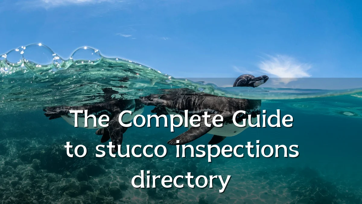 The Complete Guide to stucco inspections directory