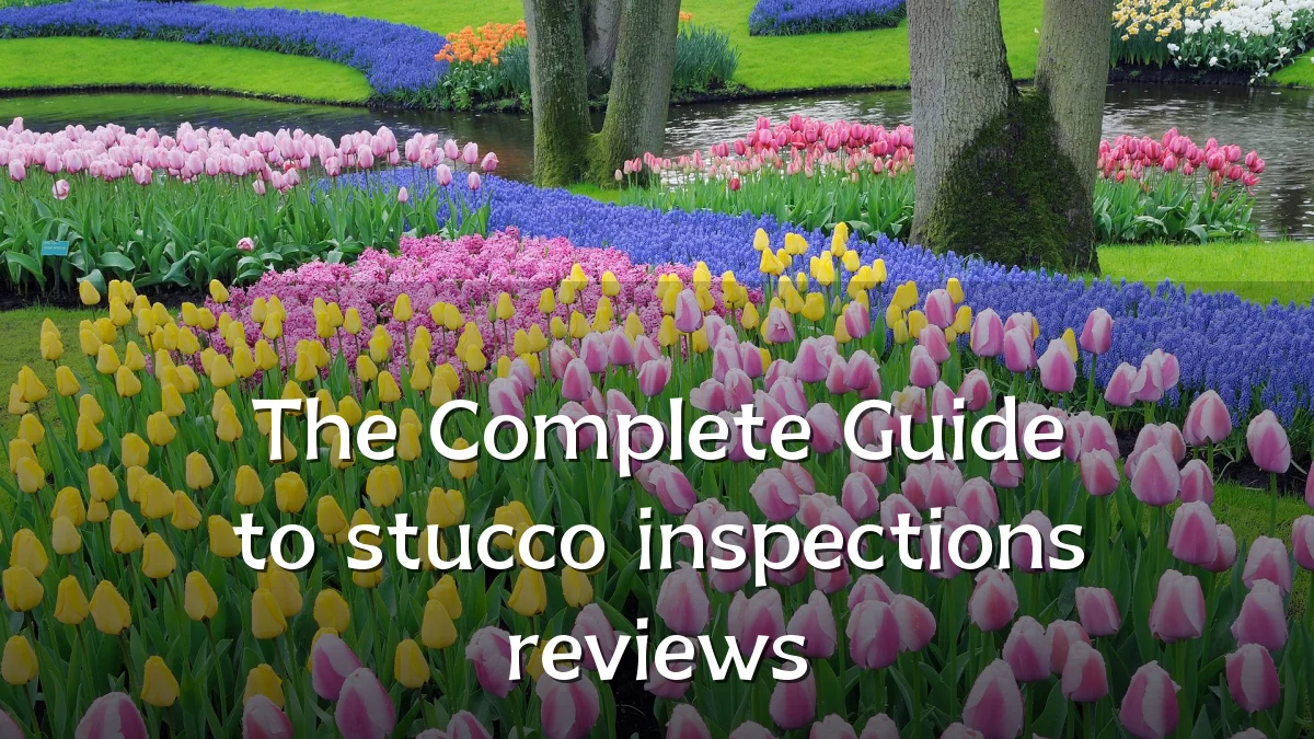 The Complete Guide to stucco inspections reviews