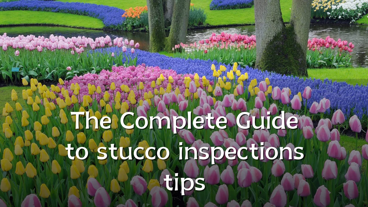 The Complete Guide to stucco inspections tips
