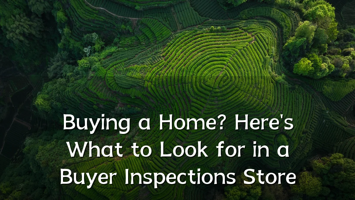 Buying a Home? Here's What to Look for in a Buyer Inspections Store