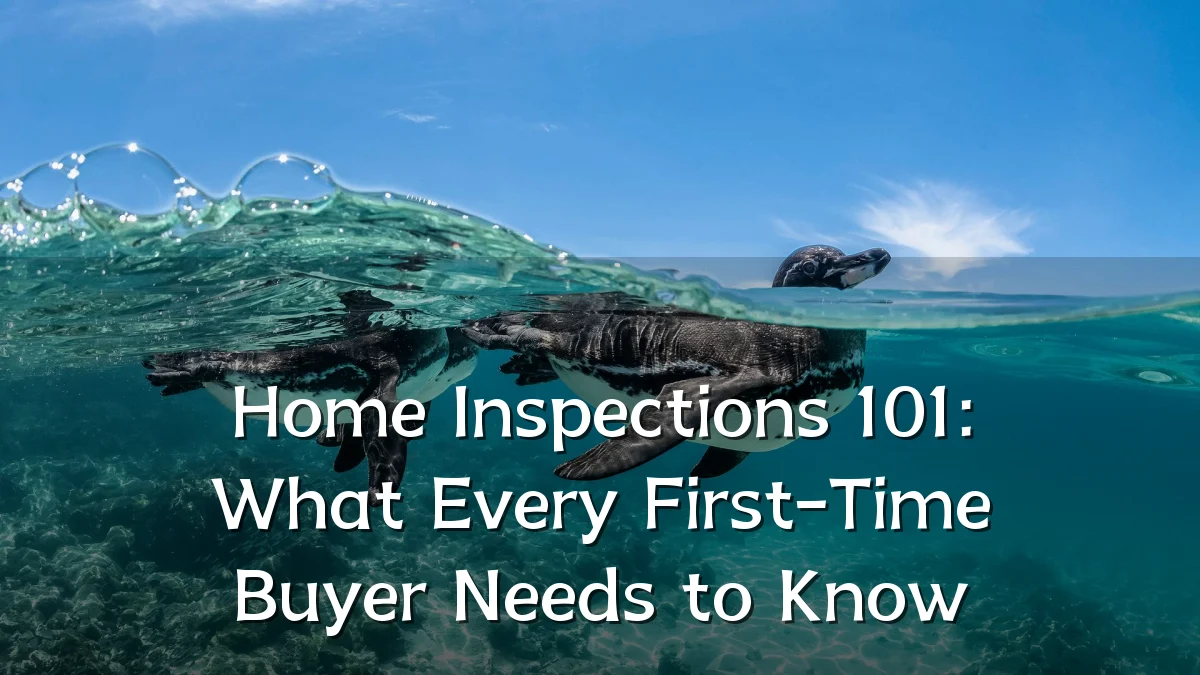 Home Inspections 101: What Every First-Time Buyer Needs to Know