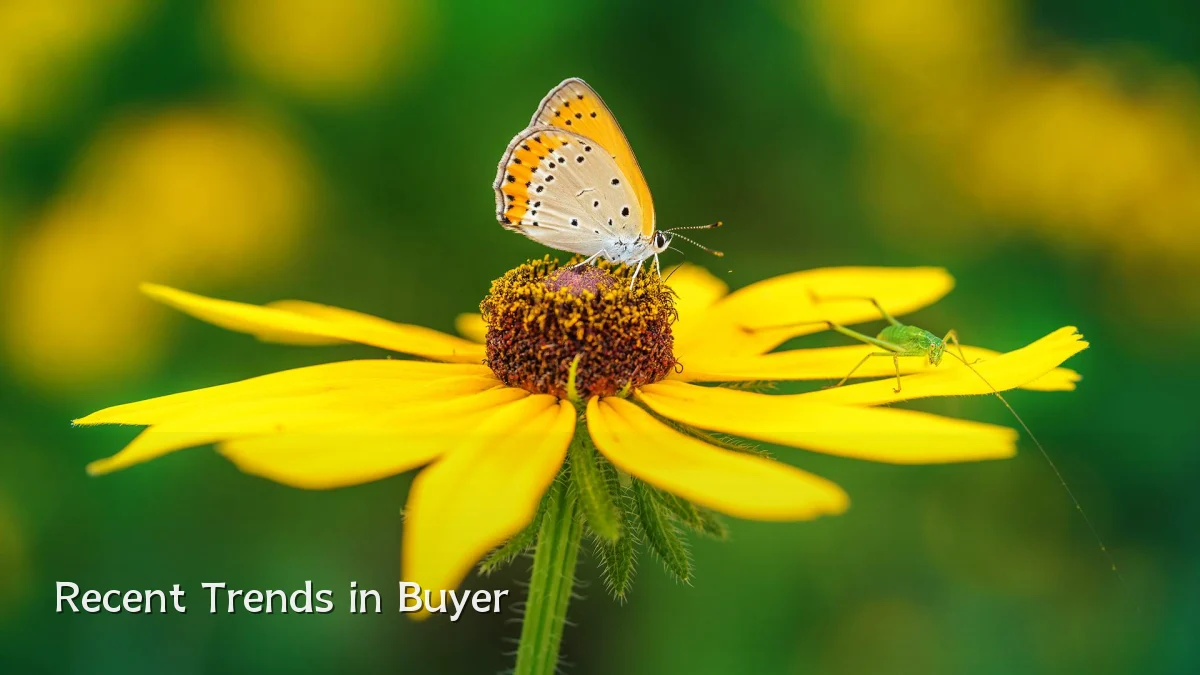 Recent Trends in Buyer