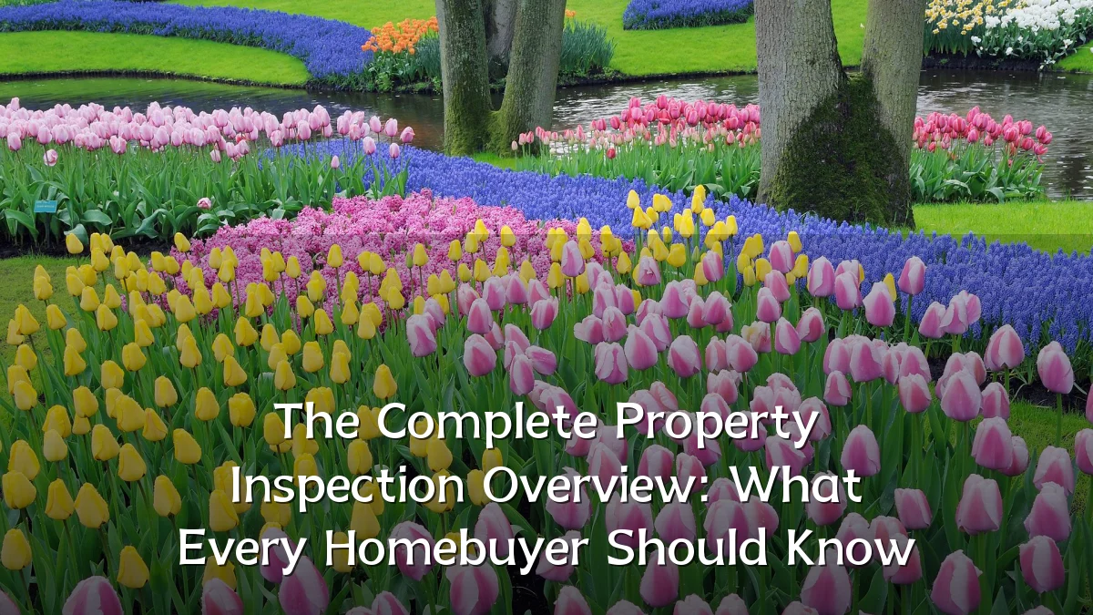 The Complete Property Inspection Overview: What Every Homebuyer Should Know