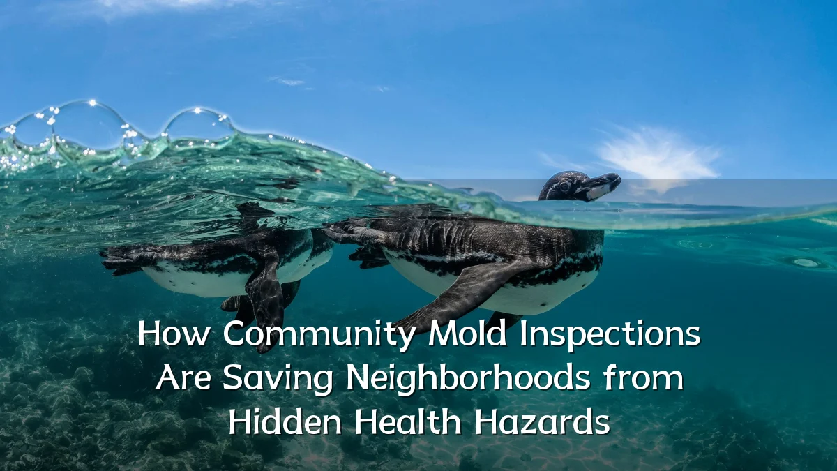 How Community Mold Inspections Are Saving Neighborhoods from Hidden Health Hazards