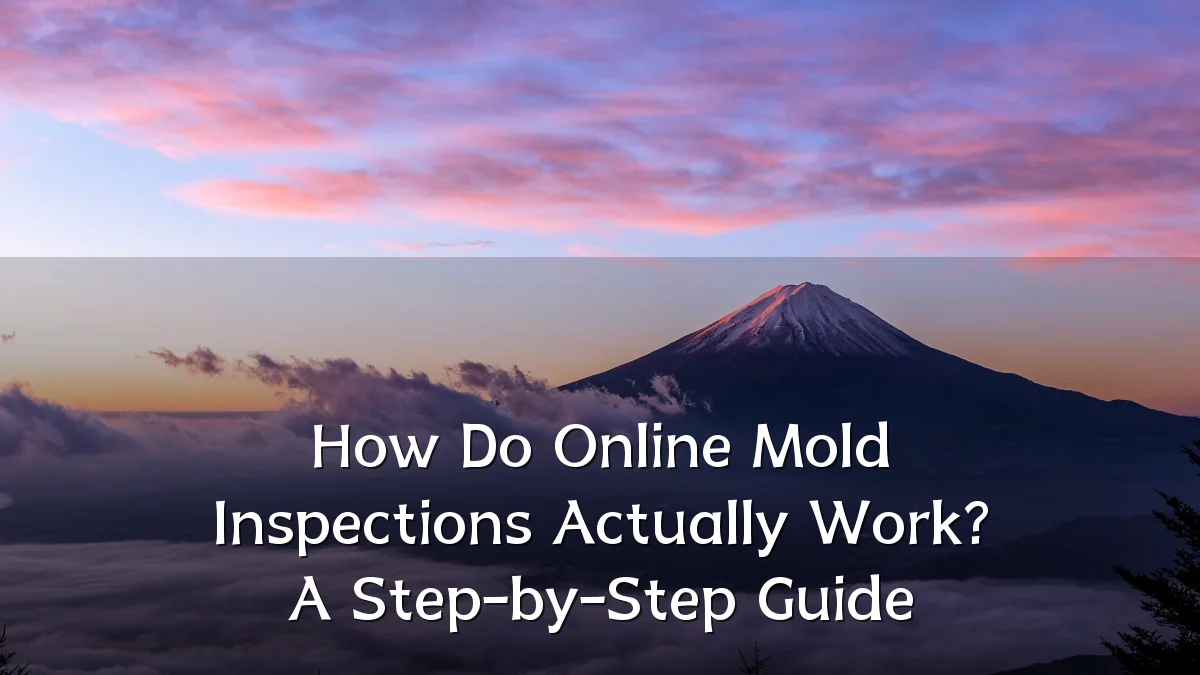 How Do Online Mold Inspections Actually Work? A Step-by-Step Guide