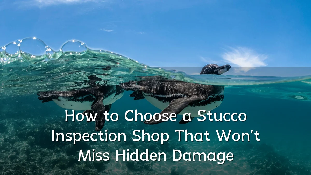 How to Choose a Stucco Inspection Shop That Won't Miss Hidden Damage