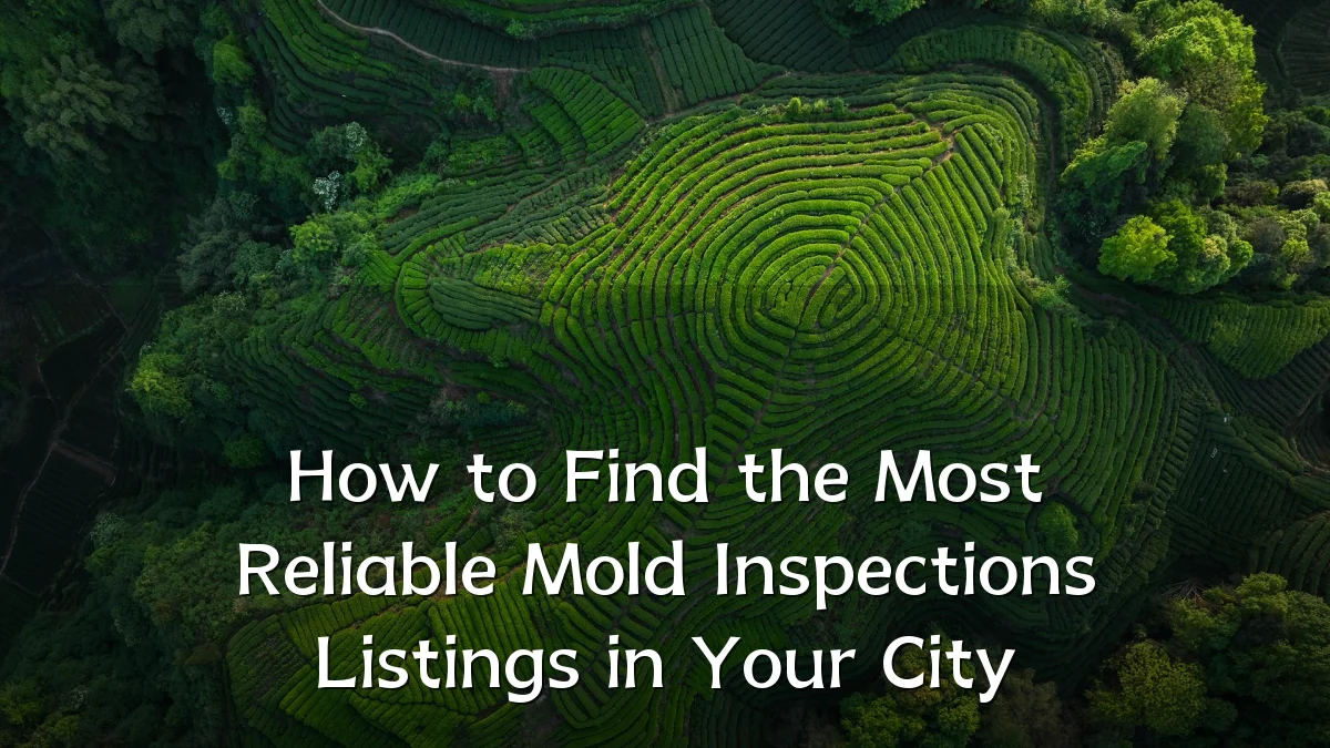 How to Find the Most Reliable Mold Inspections Listings in Your City