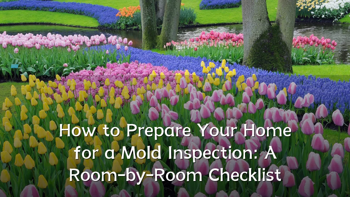 How to Prepare Your Home for a Mold Inspection: A Room-by-Room Checklist