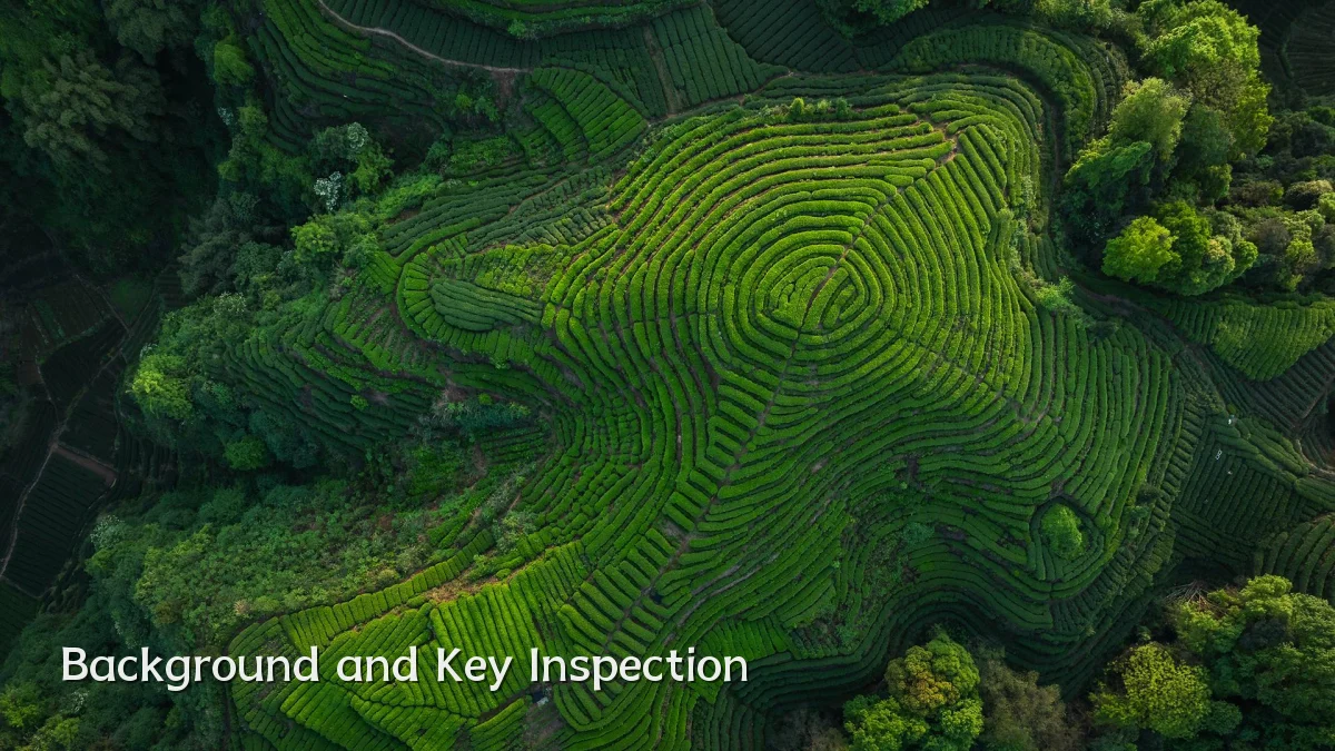Background and Key Inspection