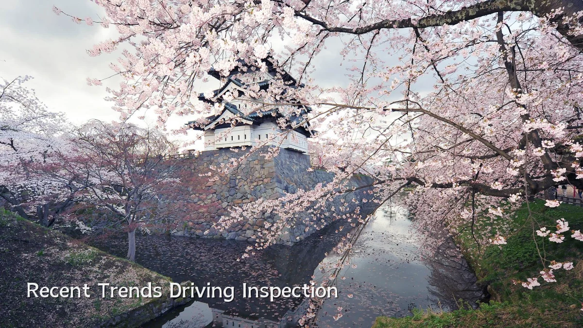 Recent Trends Driving Inspection