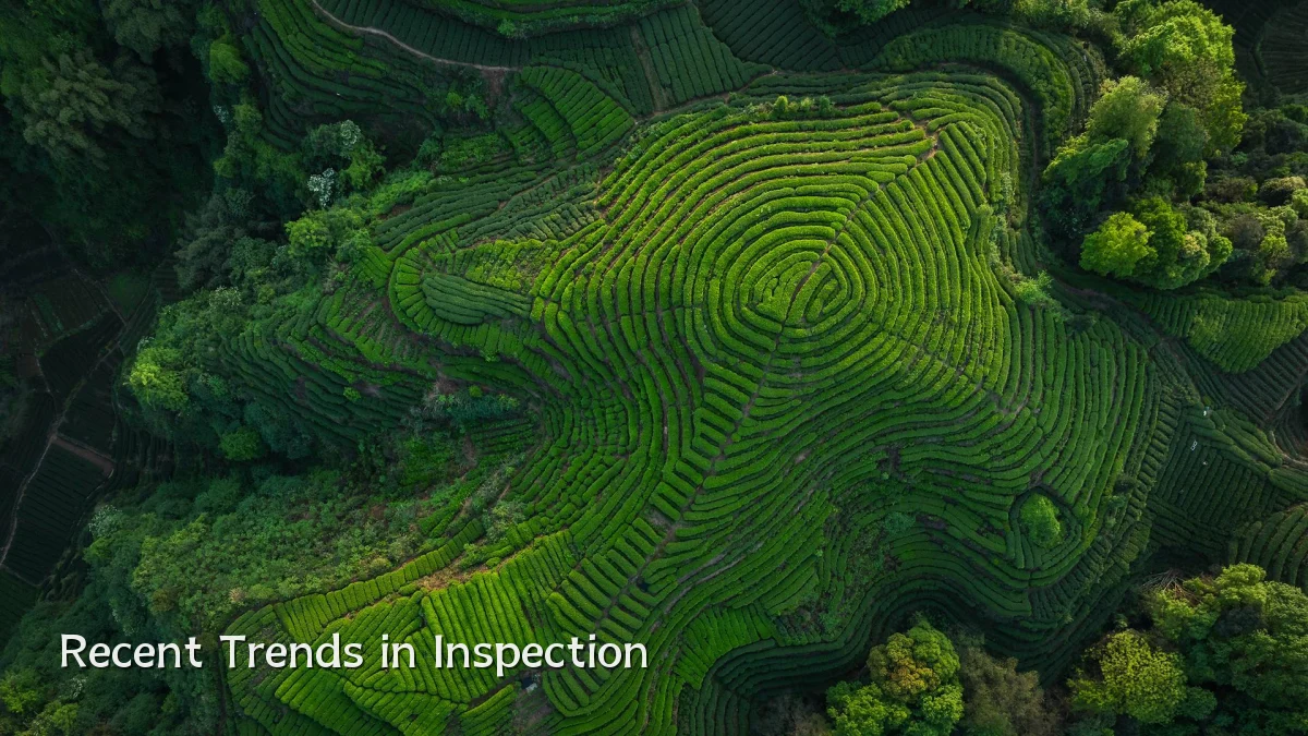 Recent Trends in Inspection