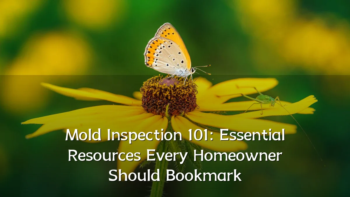 Mold Inspection 101: Essential Resources Every Homeowner Should Bookmark